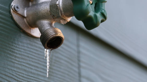 Best Leak Detection Services  in Redwood Falls, MN